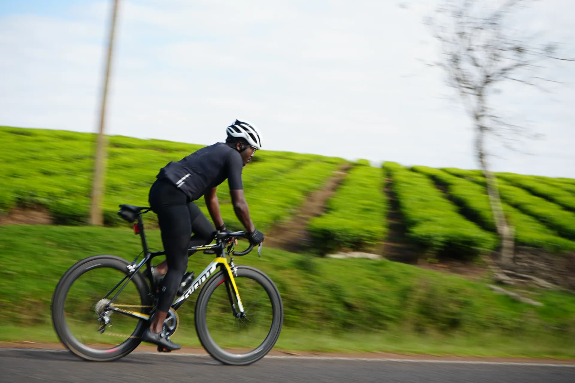 A cyclist riding past the coffee plantation along Kirawa Road